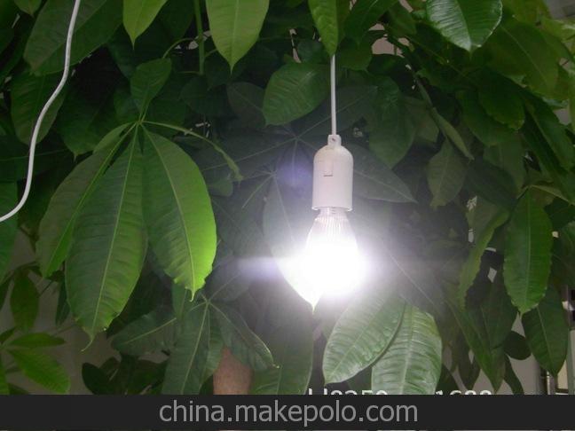 12V2W3WLED燈太陽能燈鋰電池存電家庭小院照明節(jié)能低碳燈具圖片