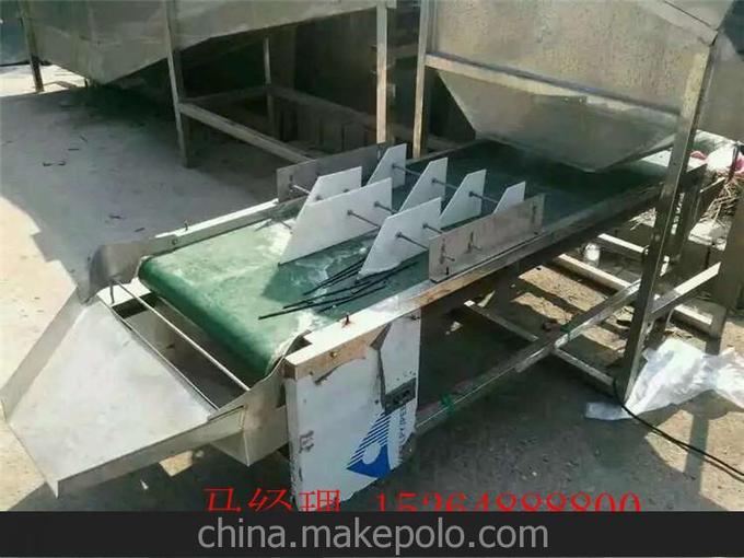 酒店食堂用履帶式電熱高溫超聲波洗碗機(jī) 品質(zhì)上乘 價(jià)格保證圖片