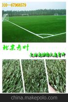 北京青叶人造运动足球场草坪 人造草坪 仿真草坪