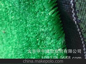北京青叶幼儿园草坪地毯 人造草坪 运动草坪地垫
