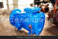  无组缓闭止回阀HH44X-16 DN100